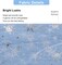 Sheer Fabric, Snowflake Silver Foil Organza Fabric, Snowflake Tablecloth Birthday Party Supplies Party Decorations, Christmas Tree Skirt Christmas Decorations Clearance (59" x 118", Blue)